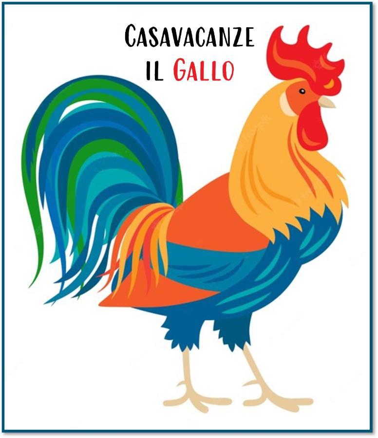 Casavacanze Il Gallo Omegna Exteriér fotografie